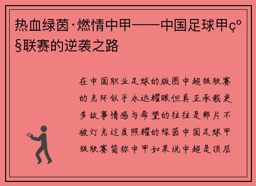 热血绿茵·燃情中甲——中国足球甲级联赛的逆袭之路