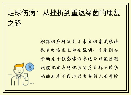 足球伤病：从挫折到重返绿茵的康复之路